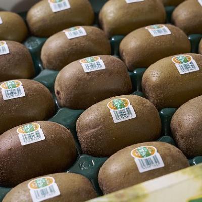 ふるさと納税 遠賀町 【先行受付】福岡限定!ブランドキウイ「甘うぃ(あまうぃ)」約3kg箱(24-33玉)(遠賀町) |  | 02