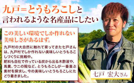 朝採れ直送！ とうもろこし 白いおおもの 甘い 約5kg 13本入り 2Lサイズ 七戸宏大《7月下旬-8月下旬出荷》岩手県 九戸村 ホワイトコーン 白いとうもろこし おおもの 5kg スイートコーン