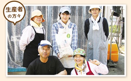 E1-16【3ヶ月連続お届け】新潟県長岡産コシヒカリ玄米10kg