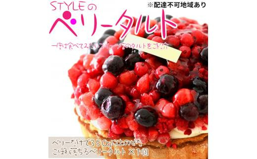 
            フレッシュタルト 専門店 「STYLE」 ベリー タルト 1個（5号 15cm 860g） 贅沢なサクサク 濃厚 クリーム 極上 デザート
          