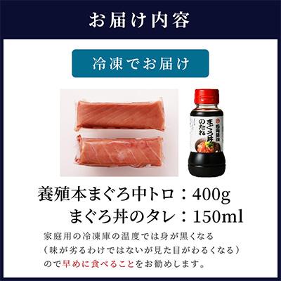 ふるさと納税 松浦市 鷹島産本まぐろ　中トロ400g　まぐろ丼のタレ付き |  | 02