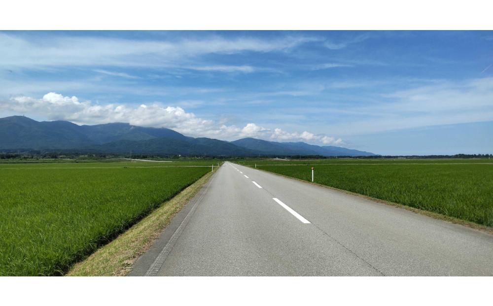 令和7年産 佐渡産コシヒカリ米「朱鷺と暮らす郷」10kg(5kg×2個) 佐渡・今井茂助商店おすすめ