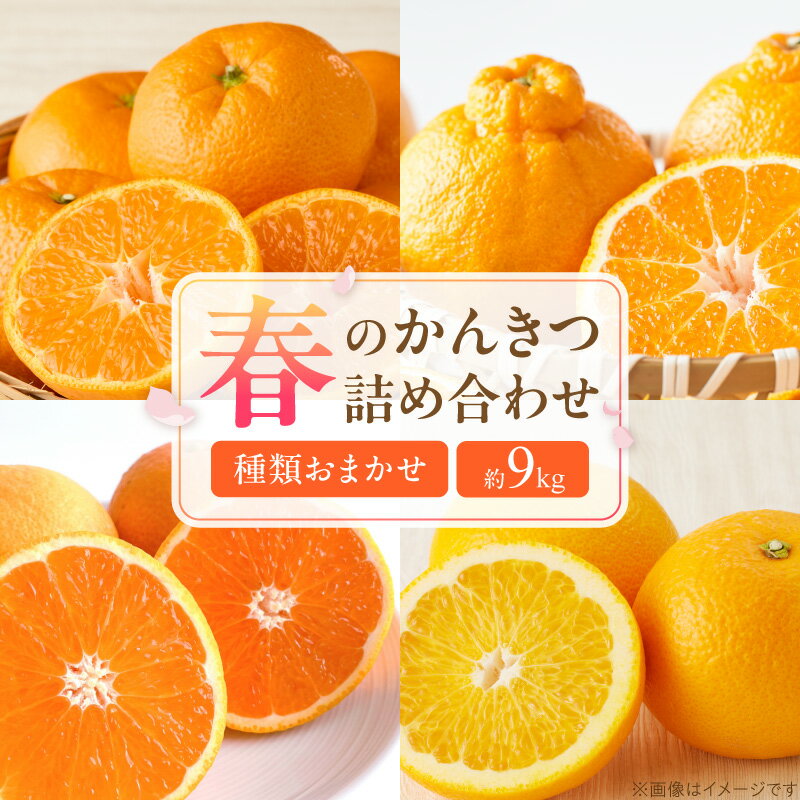 【ふるさと納税】【限定】 【2027年先行予約】 春の柑橘 詰め合わせ 約9kg 和歌山県産 みかん はるみ 不知火 清見 はっさく 有田みかん 産地直送 フルーツ 果物 春の味覚 甘い 濃厚 爽やか 酸味 バランス 柑橘類 和歌山県 湯浅町 送料無料