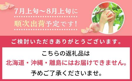 桃 2024年 先行予約 岡山 白桃 6～8玉入 約2.0kg 岡山市一宮地区産 もも モモ フルーツ 果物 ギフト[No.5220-0290]