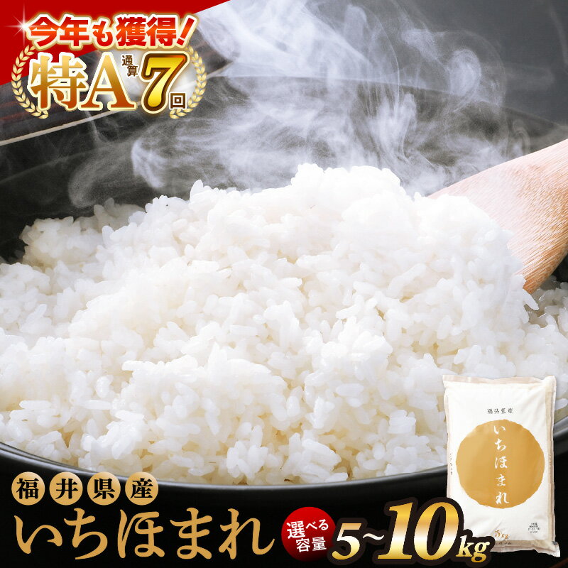 【ふるさと納税】令和7年産 お米 いちほまれ 5kg 10kg 特A 通算7回！ 選べる 内容量 定期便 1回 3回 6回 12回 福井県産 米 コメ kome 5キロ 10キロ 3ヶ月 6ヶ月 12ヶ月 [e27-sku001]　aj