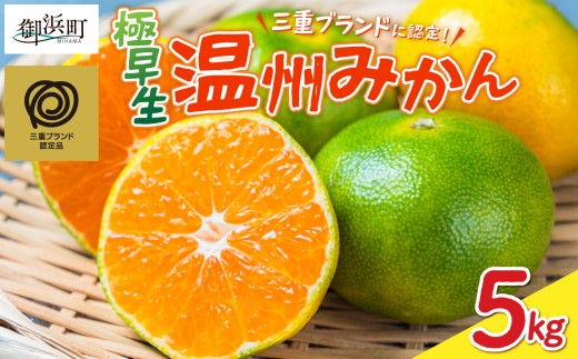 JAの南紀みかん極早生5キロ【期間限定 数量限定 果物 フルーツ みかん デザート 極早生 温州 5kg 三重ブランド 三重県 御浜町】