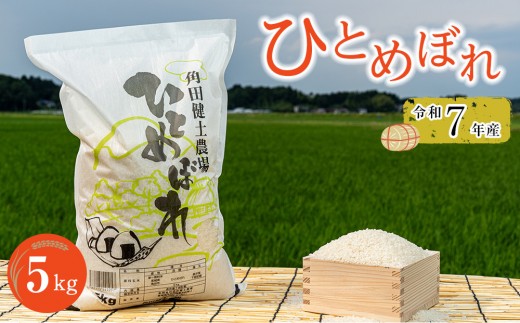 令和7年産 米 ひとめぼれ 5kg お米 白米 精米 こめ ご飯 ごはん おにぎり ヒトメボレ 国産 お取り寄せ 人気 おすすめ 食品 宮城