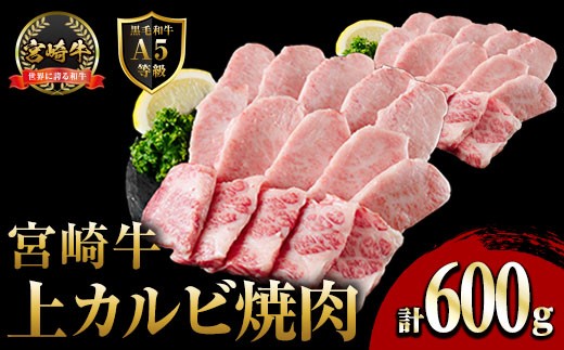 
                  新鮮チルド便 宮崎牛 A5 上カルビ(計600g・300g×2P) 焼肉 カルビ 焼肉 和牛 BBQ アウトドア キャンプ 小分け パック 真空パック ブランド牛 ランク パーティー ご褒美 おかず【OT-02】【KNOT合同会社】
                