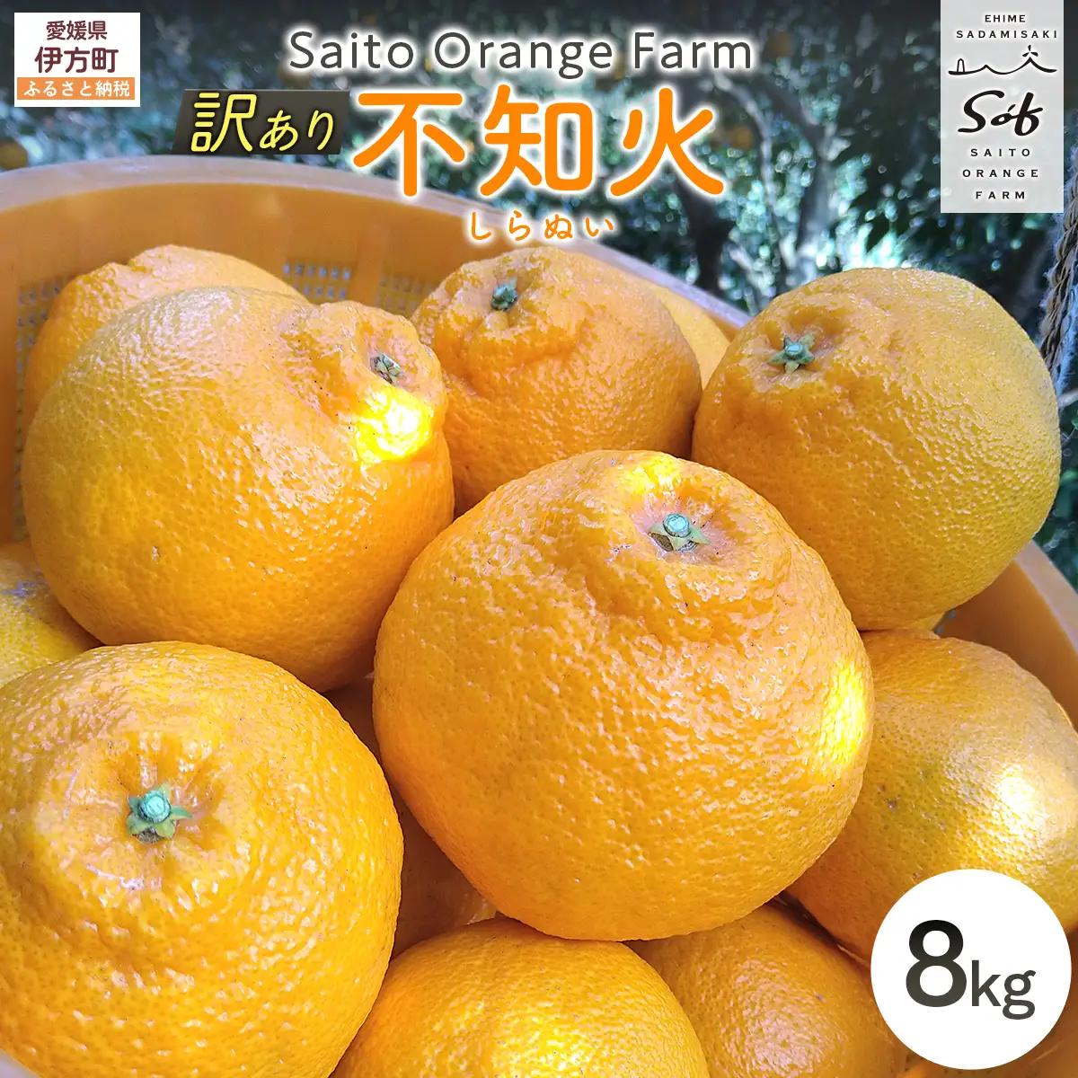 【先行予約】Saito Orange Farmの訳あり不知火8kg（2027年3月上旬頃より順次発送予定） IKTAQ012