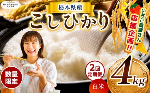 【栃木県共通返礼品】【先行予約】【定期2回】訳あり数量 限定 定期便 令和8年度 栃木県産コシヒカリ 約 4kg | 数量限定 こしひかり  精米 白米 米 ごはん おいしい  密閉パック ふるさと納税 那珂川町 栃木県