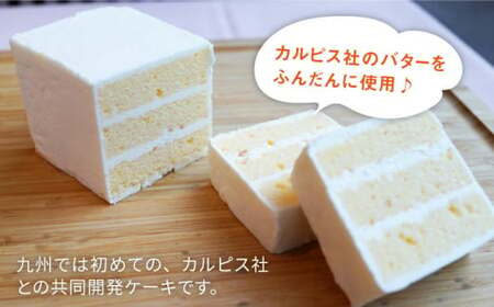 【大人気バターケーキがセットに！】VISAVIS 焼き菓子 セット （バターケーキ+焼き菓子3種）＜株式会社シークス＞那珂川市 定期便 バターケーキ お菓子 スイーツ 20000 20000円 [GA