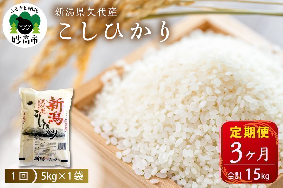 
            【定期便】新潟県矢代産コシヒカリ5kg×3回（計15kg）
          