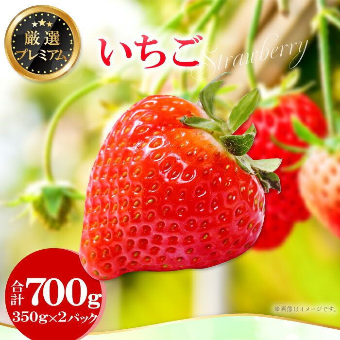 【ふるさと納税】 先行予約 いちご 350g×2パック 果物 フルーツ 苺 厳選 プレミアム 甘い やみつき 期間限定 季節限定 早期予約 2025年1月〜2月末発送 冷蔵 特産品 お取り寄せ グルメ