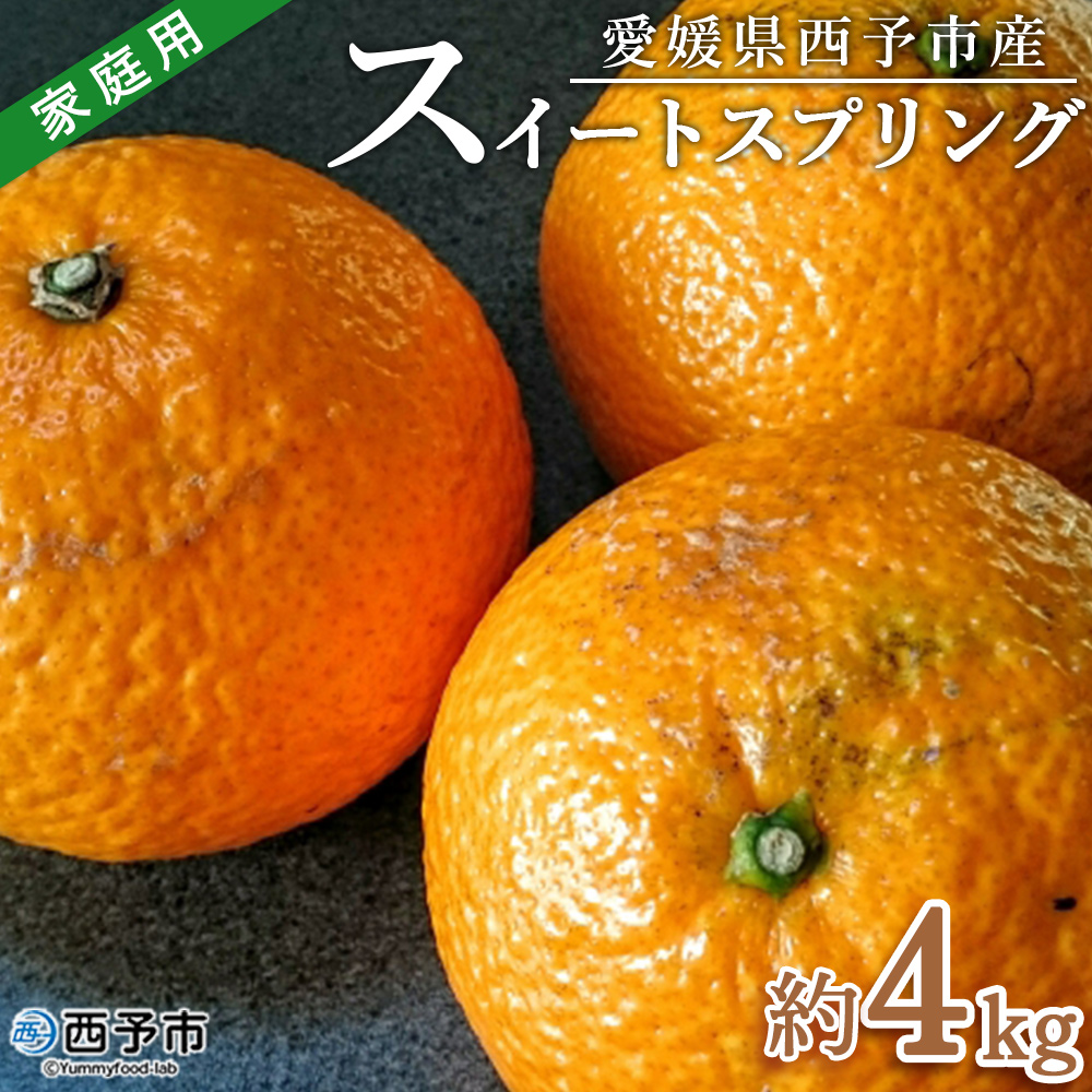 ＜愛媛県西予市産 スイートスプリング 家庭用 約4kg＞ 訳あり ワケアリ すいーとすぷりんぐ 果物 くだもの みかん ミカン 柑橘 甘い フルーツ 果実 特産品 産地直送 段畑みかん株式会社 愛媛県 西予市