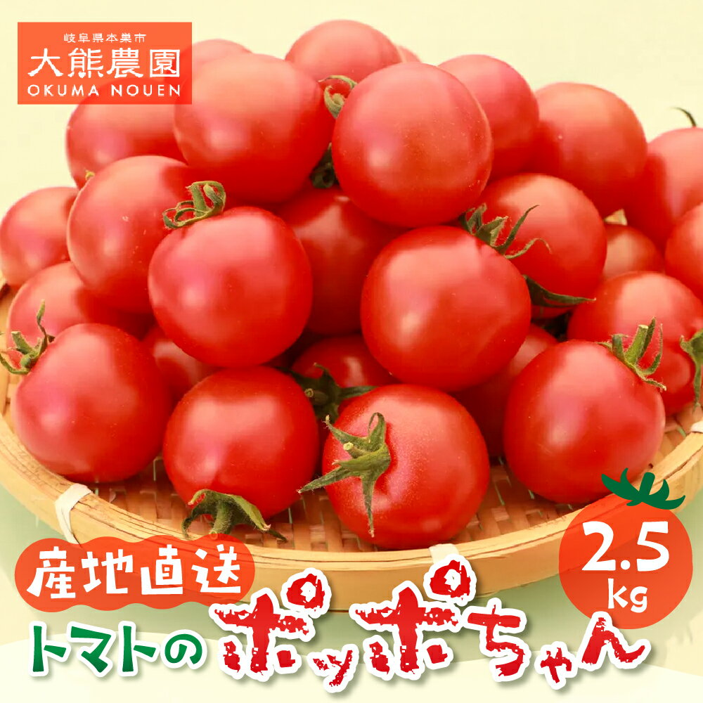 【ふるさと納税】トマトのポッポちゃん 中玉トマト 11月発送 新鮮 産地直送 おいしい 甘い 酸味 栄養 トマト 効果 レシピ [mt1894] 18000円