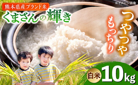 【令和7年度】 くまさんの輝き 白米 10kg (1袋) 【TKCラボ（辻米クラブ研究所）】[AYDI002]