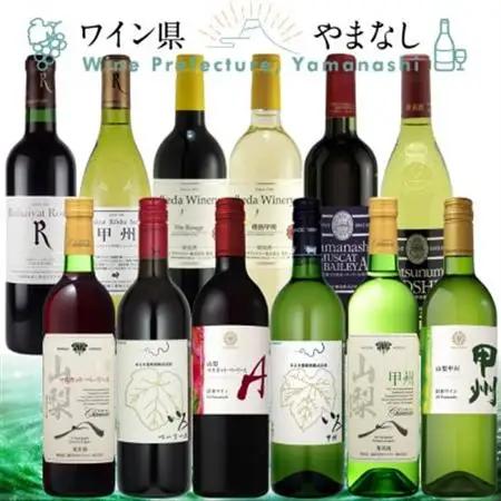 山梨ワイン 至極の12本セット【配送不可地域：離島】【1607490】