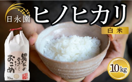 日永園 ヒノヒカリ 白米10kg 【2025年11月下旬より発送予定】 米 お米 ご飯  うきは市