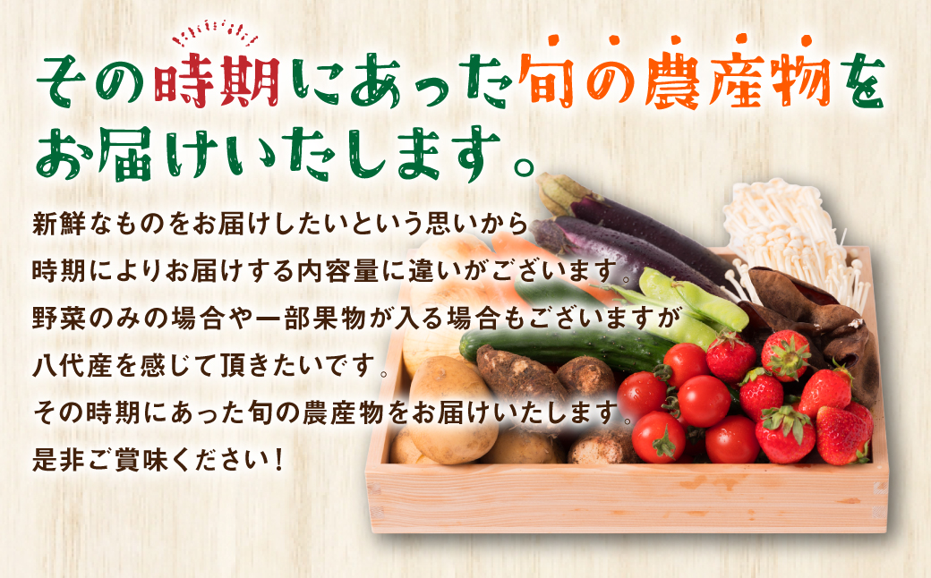 【毎月お届け】【定期便3回】八代市産！旬の農産物詰合せ 復興 福袋 7品以上