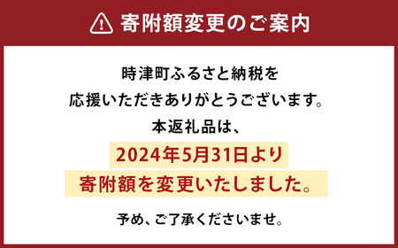 異人堂 長崎カステラ 詰合せ 3種（長崎カステラ、チョコ、抹茶）