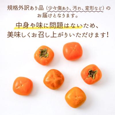 ふるさと納税 庄内町 【R8.10月下旬より順次発送】庄内柿 家庭用【訳あり 少々傷あり】 M〜Lサイズ 7.5kg |  | 01