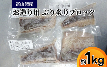 富山湾産ブリ お刺身用 炙りブロック約1kg｜魚介 魚貝 新鮮 お造り 冷凍 シーフード 鰤 ぶり お刺身ぶり 刺身 北陸 富山県 射水市