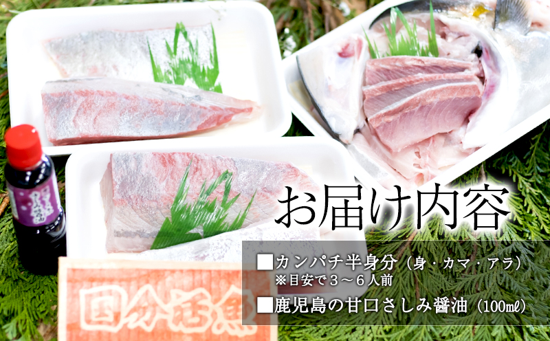 【鹿児島県垂水市産】カンパチ（半身）　甘口さしみ醤油付き