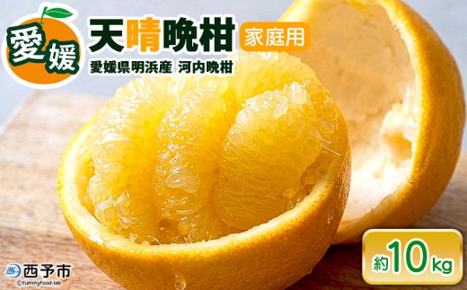 ＜天晴晩柑（河内晩柑）約10kg 愛媛県明浜産 ＞ 家庭用 果物 柑橘 みかん 和製 グレープフルーツ 食べて応援 特産品 愛媛県 西予市【常温】『2026年4月上旬～5月下旬迄に順次出荷予定』