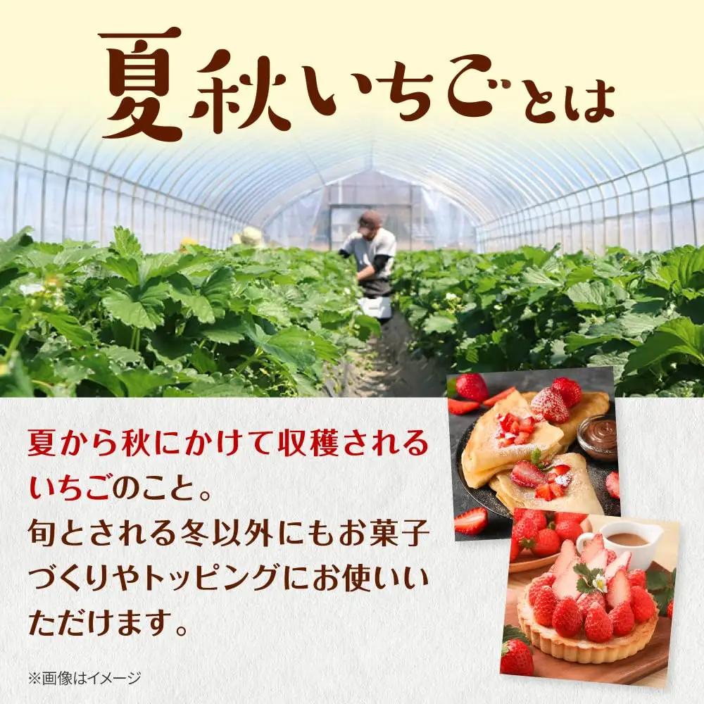 夏いちご すずあかね  計600g [AXBT003] いちご