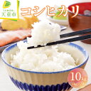 【ふるさと納税】コシヒカリ 10kg 5kg×2袋令和6年産 新米 米 コメ こめ おこめ 精米 特別栽培米 ブランド米 ごはん 白米 ご飯 おにぎり 弁当 5kg 袋 小分け 便利 おすそ分け お取り寄せ 食品 送料無料 【 山形県 天童市 】