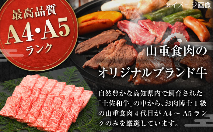 高知県産 よさこい和牛 焼肉用 約600g 牛肉 国産 焼き肉 BBQ A4 A5 【(有)山重食肉】 [ATAP063]