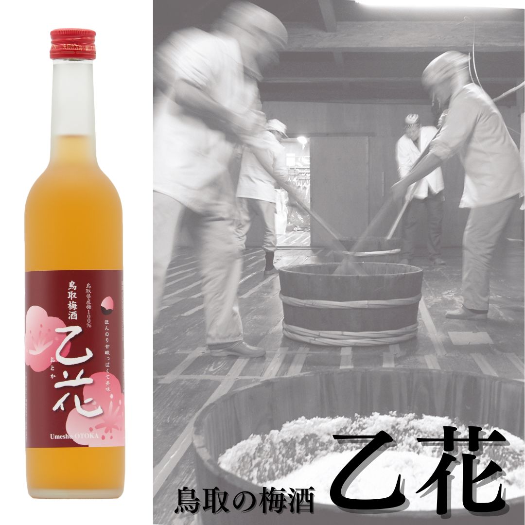 136M.鳥取の梅酒『乙花』