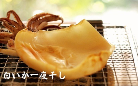 【定期便】山陰浜田港四季の味わい のどぐろ付きアラカルト（年６回奇数月発送コース） 魚 のどぐろ 一夜干し フィレ 干物 干もの 個包装 小分け セット 詰め合わせ 定期 6回 【1314】