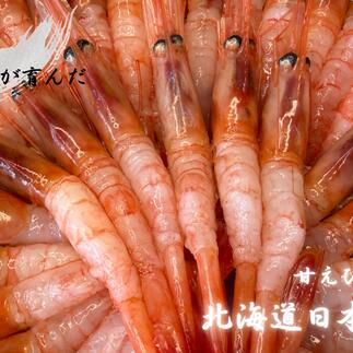 【ふるさと納税】8-012-004　増毛産　獲れたての冷凍甘えび 1kg　お届け：入金確認後、2週間～1ヶ月前後