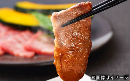 【全6回定期便】長崎和牛 カルビ 総計3.0kg （約500g/回）【ながさき西海農業協同組合】 [DBV025][DBV025]