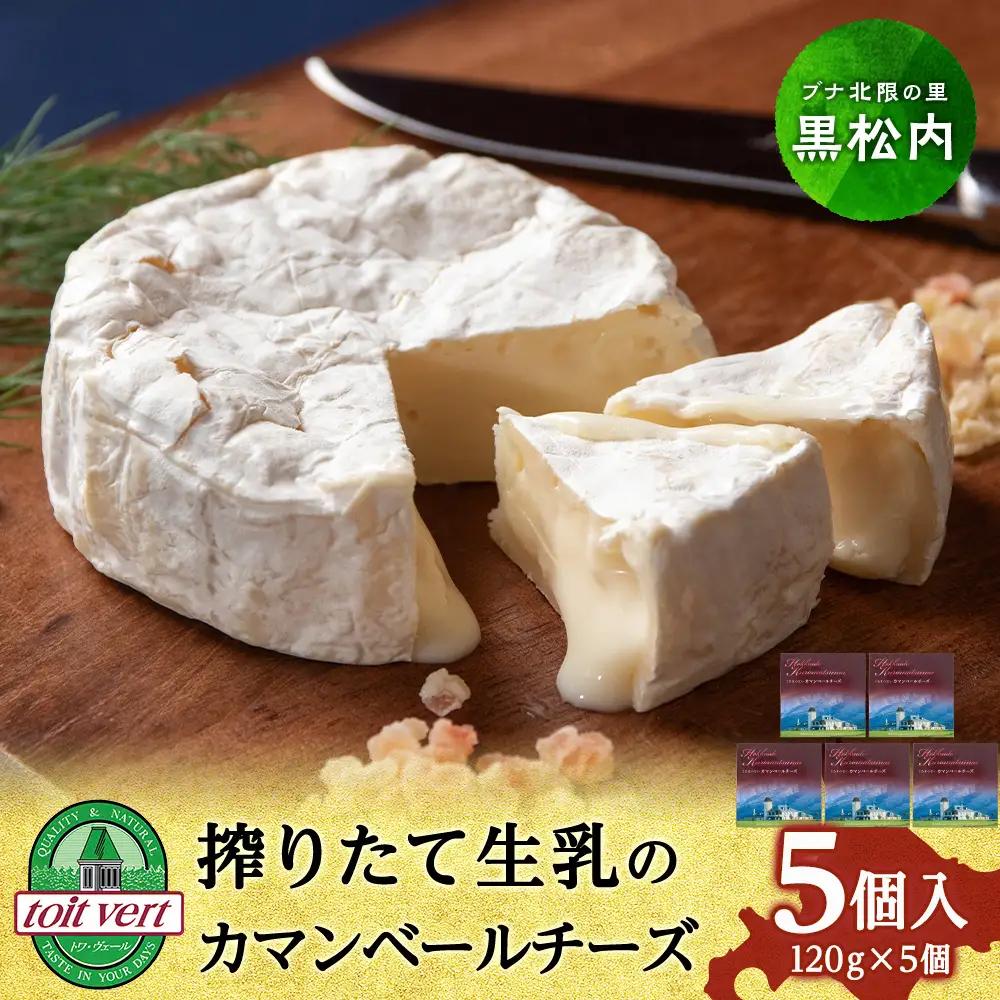 カマンベールチーズ 120ｇ 5個