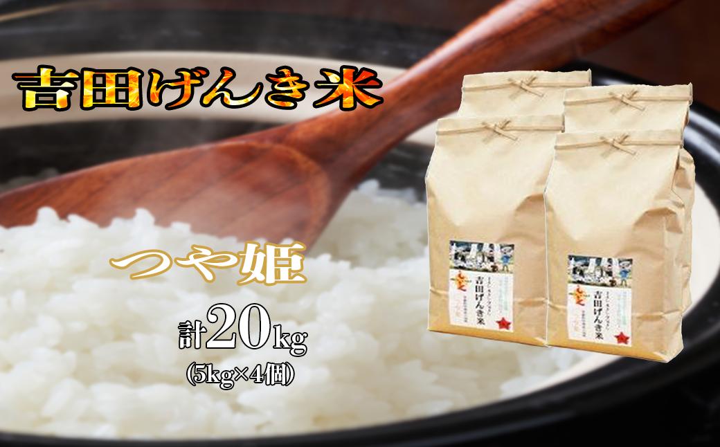 
島根県雲南市「吉田げんき米」つや姫20kg（5kg×4）【島根県産 雲南市産 ブランド米 米 お米 白米 コメ こめ おこめ ライス 精米 ふっくら ツヤツヤ 炊き立て 甘い 美味しい 家庭用 ふるさと ご飯 おうちご飯 袋 自然 天然 送料無料 定番 朝食 昼食 夜食】
