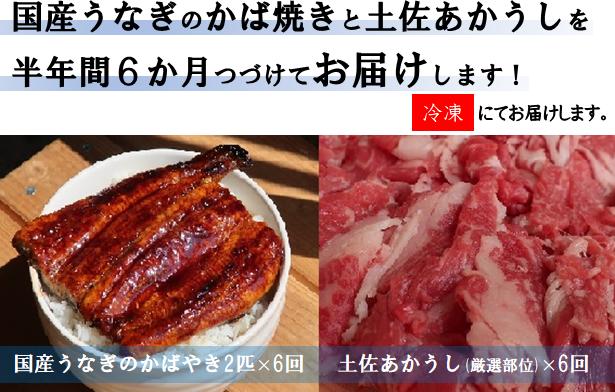 
TM-01◆国産うなぎのかば焼きと土佐あかうしを半年間6か月つづけてお届けします！
