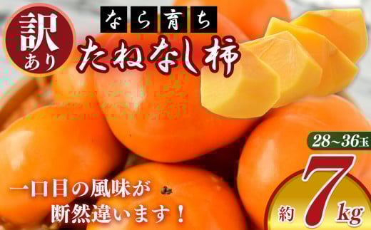 【なら育ち 益田農園】たねなし柿　訳アリ　約7kg（28玉～36玉） | フルーツ 果物 くだもの 柿 かき カキ 奈良県 五條市