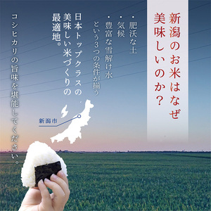 【令和7年新米予約】新潟産コシヒカリ 10kg 米 精米 白米 こめ コメ お米 おこめ コシヒカリ こしひかり 新潟 新潟県 米どころ