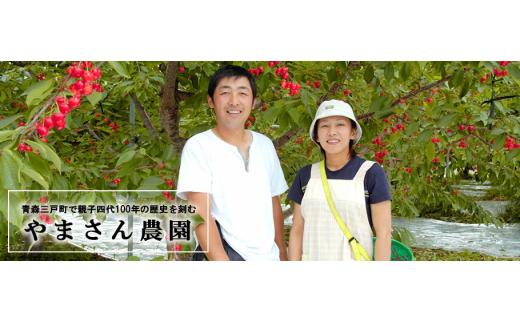 【訳あり】青森県産 桃 約3kg（7～10玉） 【2026年産・先行予約】8月中旬～9月中旬頃まで発送予定 旬の桃（あかつき・一宮白鳳・川中島白桃・だて白桃） やまさん農園 青森県 三戸町