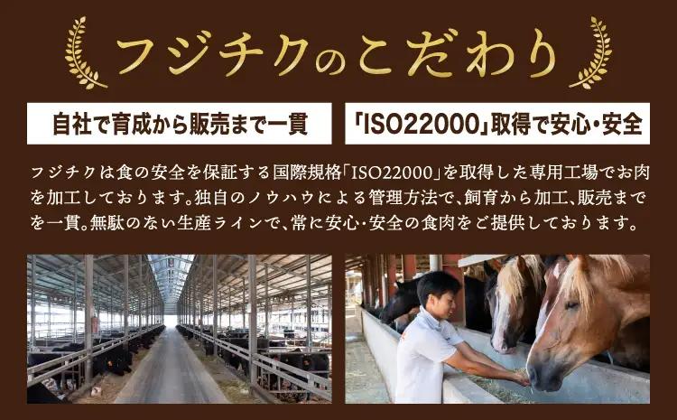 「熊本特産」フジチク厳選のふじ馬刺し6種セット (ふじ馬刺し 大トロ、中トロ、ヒレ(シャトーブリアン)、ランプ、上赤身各80g、ネギトロ50g)