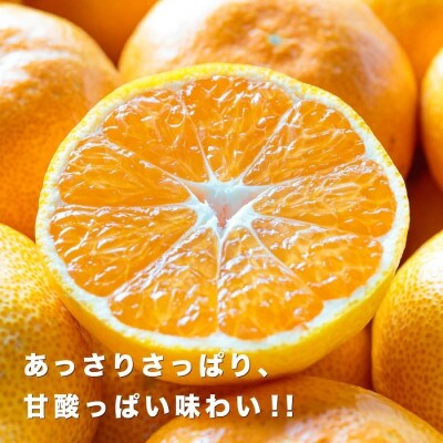 【糖度11度以上 酸1.0以下 糖酸選別品】小玉 愛媛みかん 3kg【C20−57】【1595877】