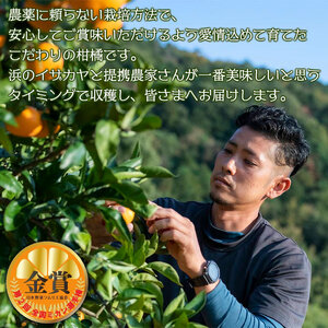 ＜旬をお届け！温州みかん 約5kg＞ 数量限定 ミカン 蜜柑 果物 柑橘類 果実 オレンジ フルーツ 早生 20号 手軽 特産品 国産 明浜産 二ノ宮商事株式会社 愛媛県 西予市【常温】『2024年1