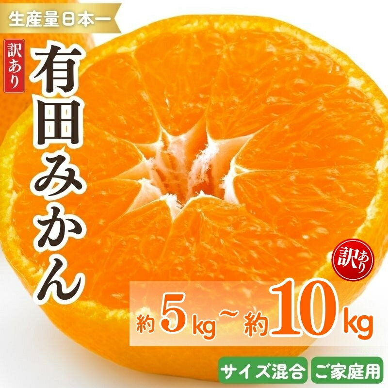 【ふるさと納税】紀州有田みかん 訳あり キズ 御家庭用 サイズ混合 約5kg 約10kg | ※2025年11月下旬～2026年1月中旬頃順次発送予定 | みかん ミカン 和歌山 由良 訳あり 家庭用 サイズ混合 おまかせ フルーツ 果物 柑橘 和歌山県産 お取り寄せ ふるさと納税 返礼品