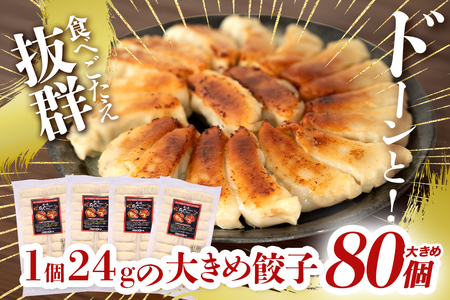 【80個】美ら島あぐー餃子（20個入×4パック）10000円