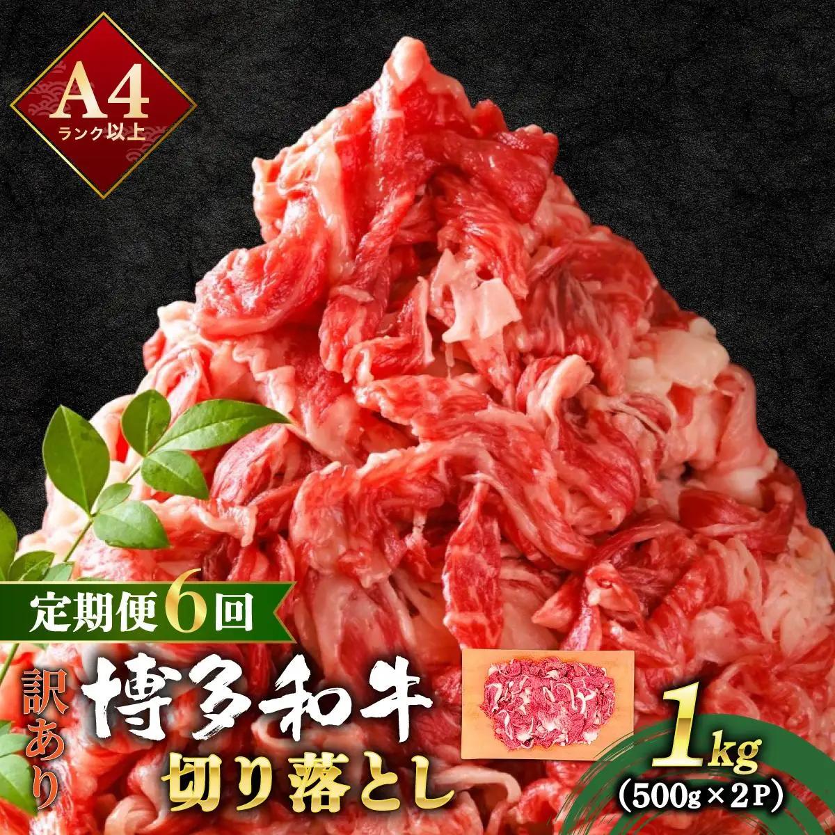  ＜定期便・全6回＞【訳あり】博多和牛 切り落とし 1kg（500g×2）