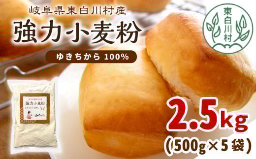
            強力小麦粉 ゆきちから 2.5kg（500g×5袋） 岐阜県 東白川村産 ブランド小麦 国産 お取り寄せ 強力粉 小麦粉 パン パン作り 製パン 製パン材料 食パン ベーグル お菓子作り 麦 小麦 ホームベーカリー
          