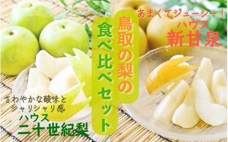数量限定の先行予約品！お早めにご寄付ください。 【先行予約・数量限定】ハウス新甘泉とハウス二十世紀梨の食べ比べセット 鳥取県産 3kg 令和6年産 （生橋農園） 梨 鳥取 梨 3kg 果物 フルーツ 和梨 先行予約 数量限定 詰め合わせ 二十世紀梨 新甘泉 セット 食べ比べ 20世紀梨