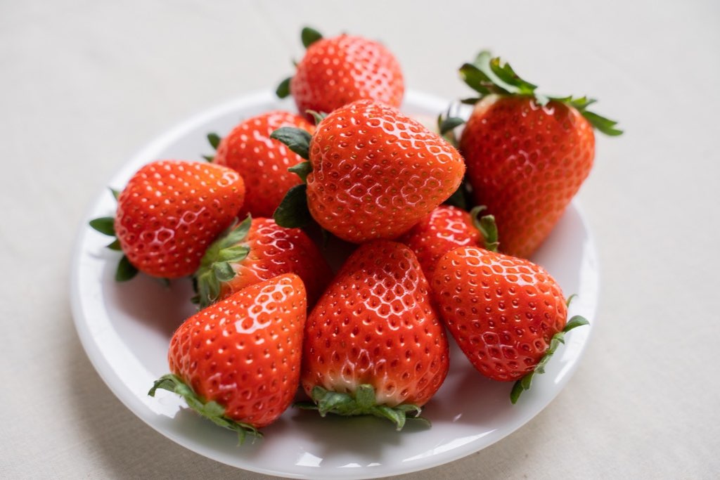 【ふるさと納税】坂本いちご農園 あまおとめ ゆうべに 選べる 約1kg 約1.5kg 約2kg | 果物 くだもの フルーツ いちご 苺 イチゴ あまおとめ ゆうべに 熊本県 玉名市